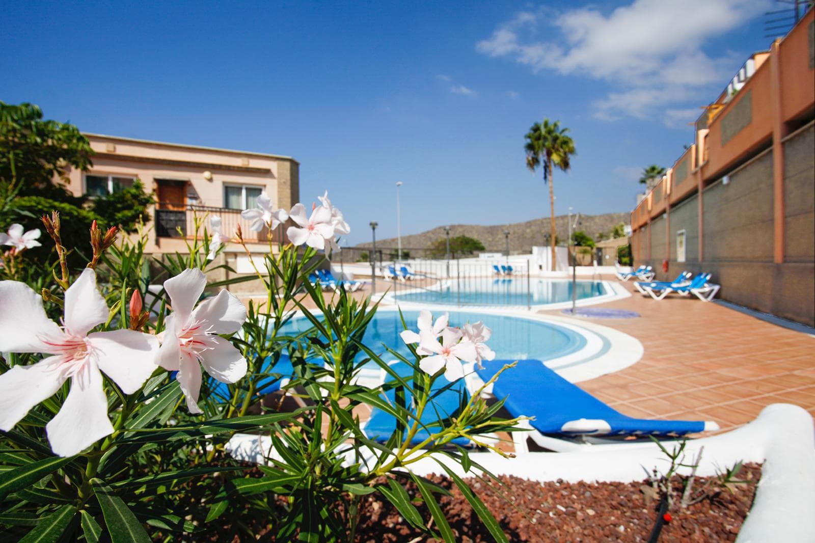 Apartament — Costa Adeje